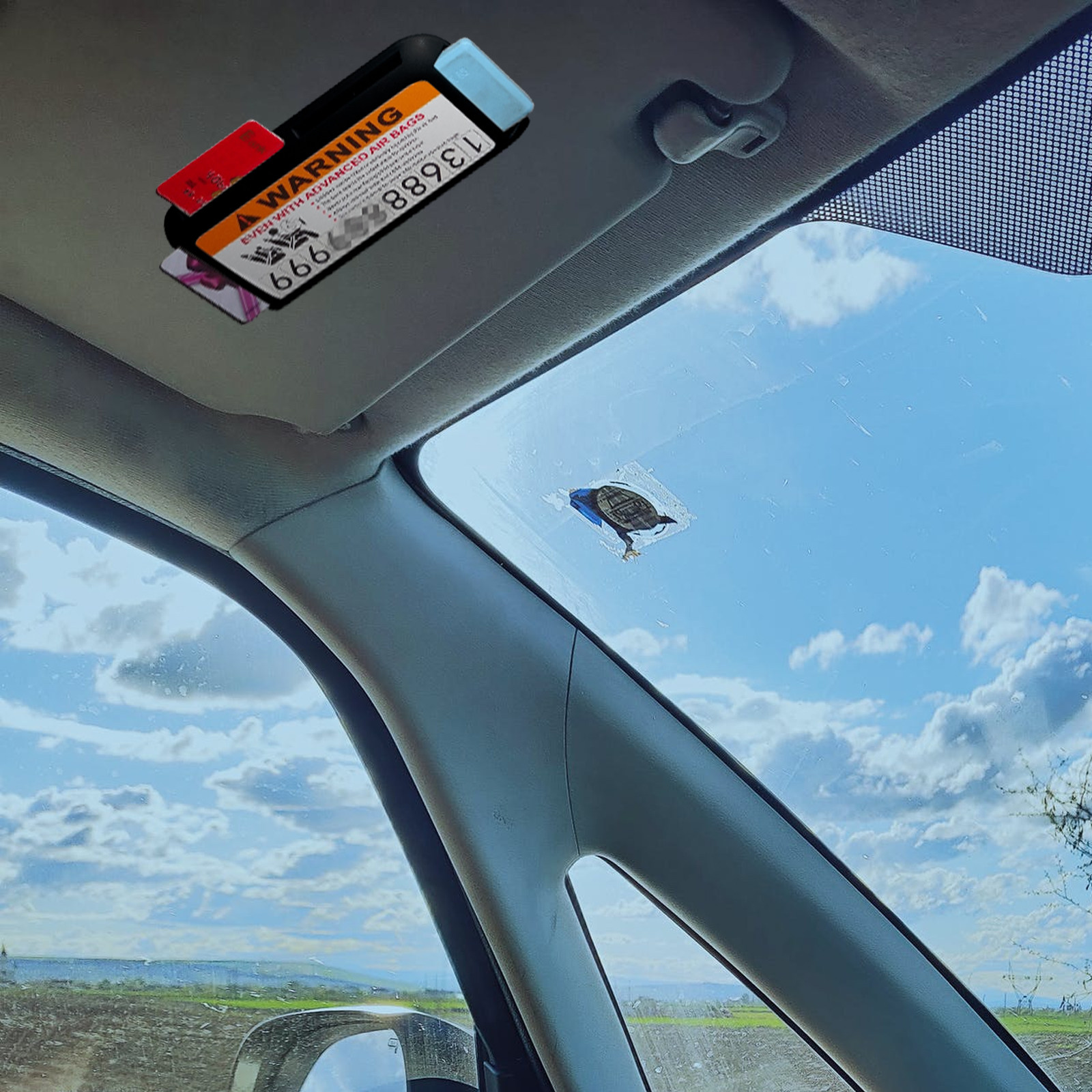 2Pcs Car Sun Visor Organizer C - Car Trunk Organizer 评论和价格